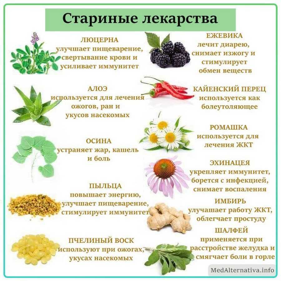 Потеря голоса: причины, восстановление, профилактика
