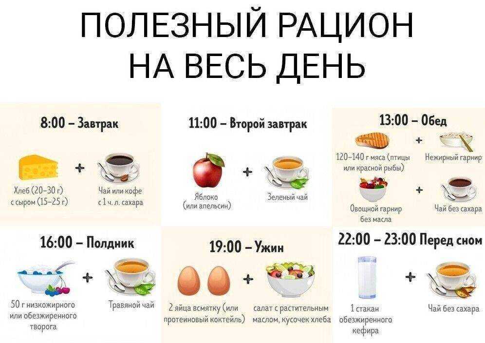 Фитнес-мифы: жиросжигающая еда - fitlabs / ирина брехт