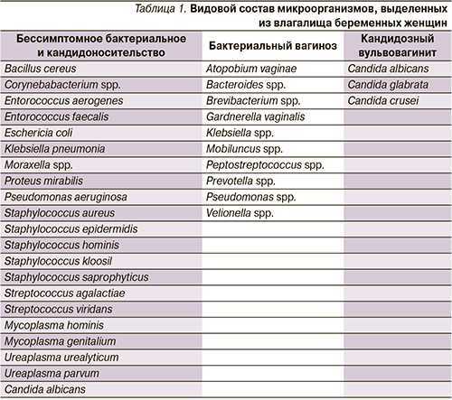 Микоплазмоз ᐉ симптомы, признаки, диагностика и лечение