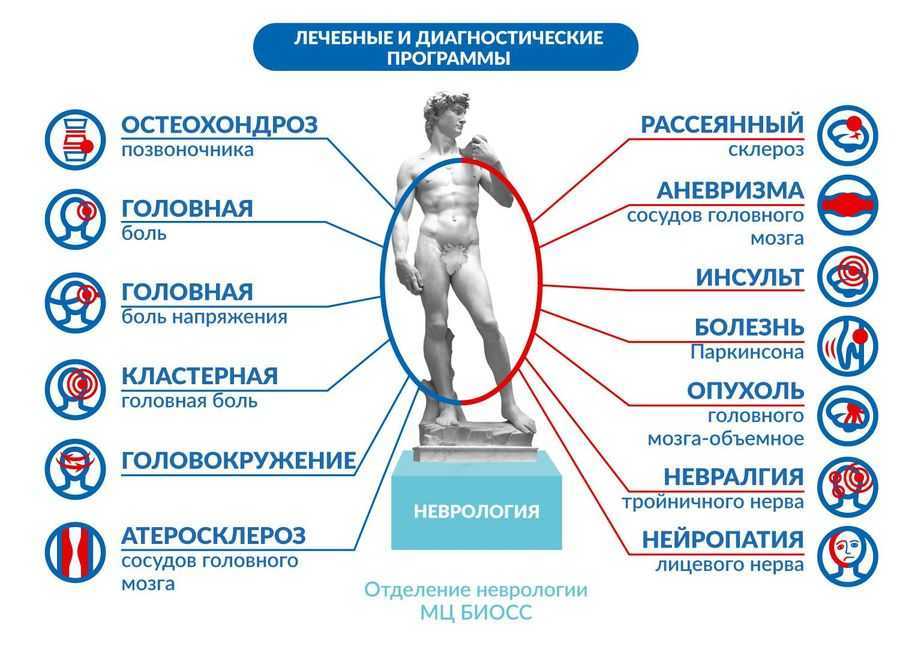 Что лечит невролог: чем занимается врач невролог, какие заболевания лечит у взрослых и детей, с чем обращаются к неврологу