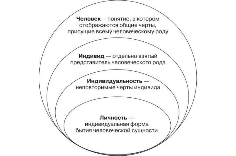 Дополните схему человек индивид личность