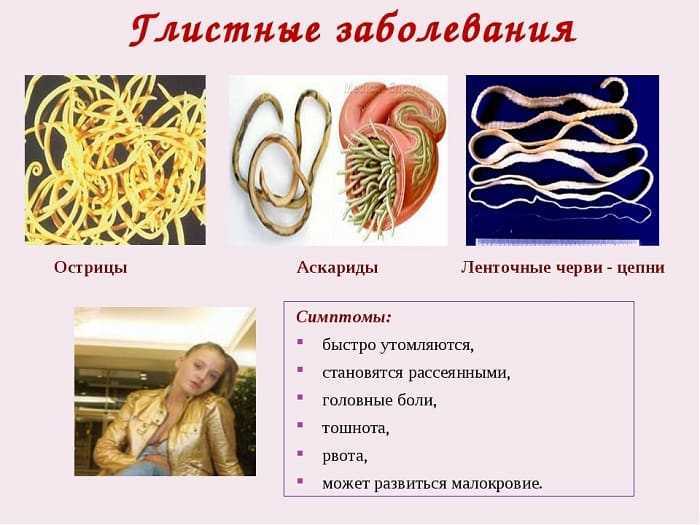 Паразиты – гельминты и лямблии