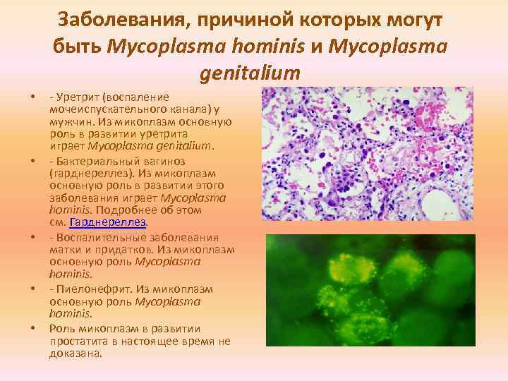 Микоплазма гениталиум схема лечения