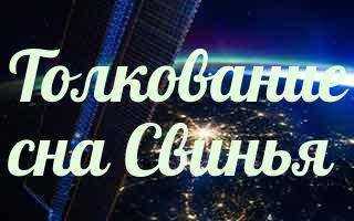 Как расшифровать сон о свиньях — 50 верных значения