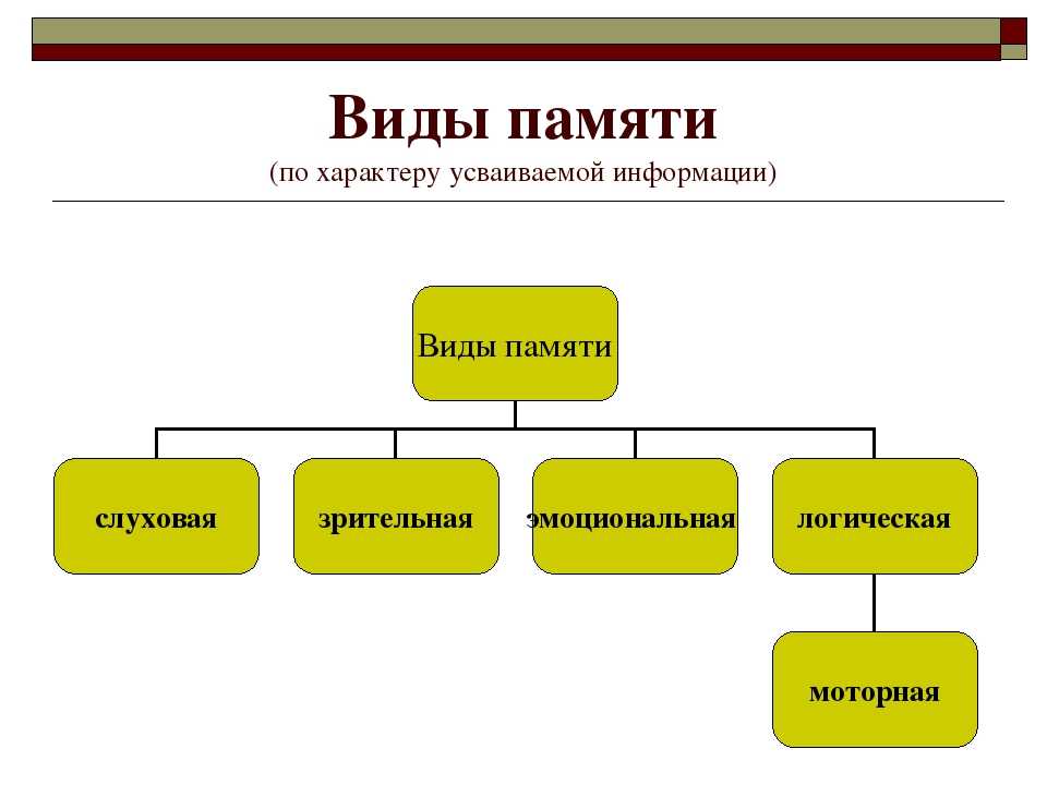 Виды памяти и их характеристика презентация