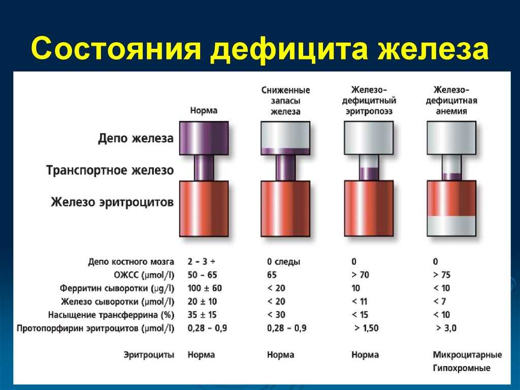 Родная кровь