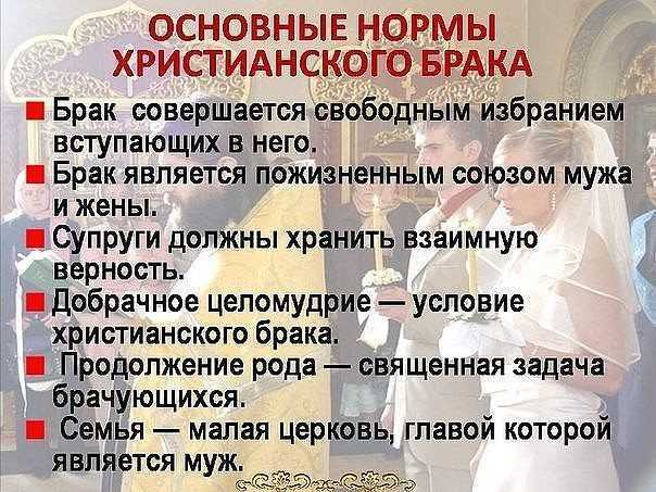 Партнерские отношения в семье: плюсы, минусы, правила поведения