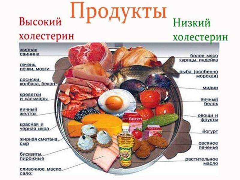 Питание при повышенном уровне холестерина