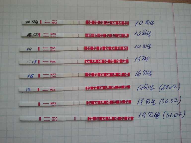 2 теста отрицательные 1 положительный. Тест на беременность. Положительный тест на беременность. Правильный результат теста на беременность. Отрицательный тест на беременность.