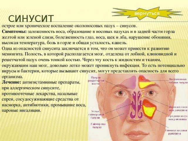 Заложенность носа без насморка: почему возникает и что делать? - лор клиника в чертаново