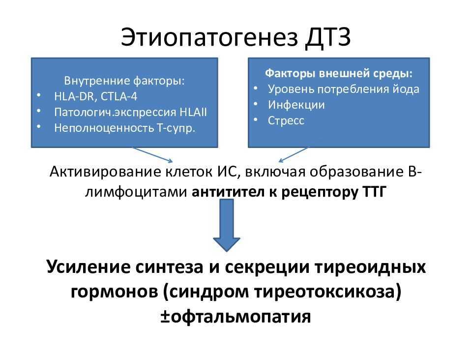 Патогенез дтз схема