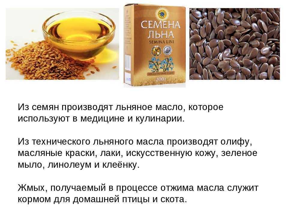 Семена льна можно кушать. Полезные свойства семена льна льняное масло. Чем полезен льняное семя. Чем полезен лен. Семена льна масличного.