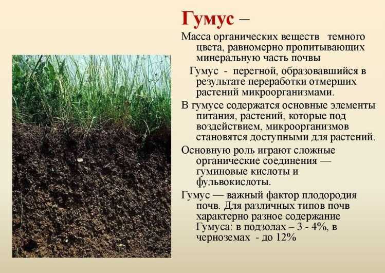 Другая планета