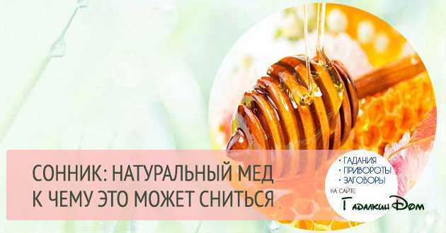 Сонник мед к чему снится во сне? видеть мед что означает?