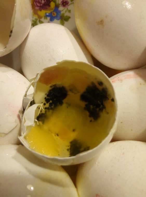 К чему снится куриное яйцо по соннику: сырое, разбитое, тухлое или вареное