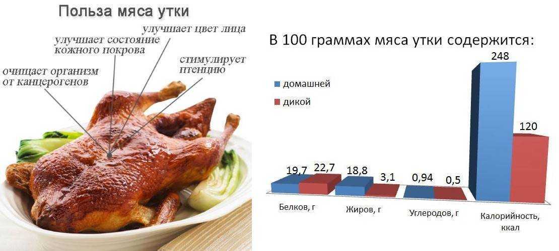 Мясо куры калорийность. Утка энергетическая ценность. Пищевая ценность мяса свинины в 100 граммах. Утка мясо калории. Полезность мяса.