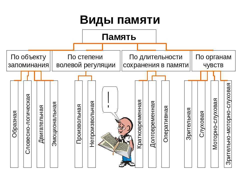 Заполните схему виды памяти