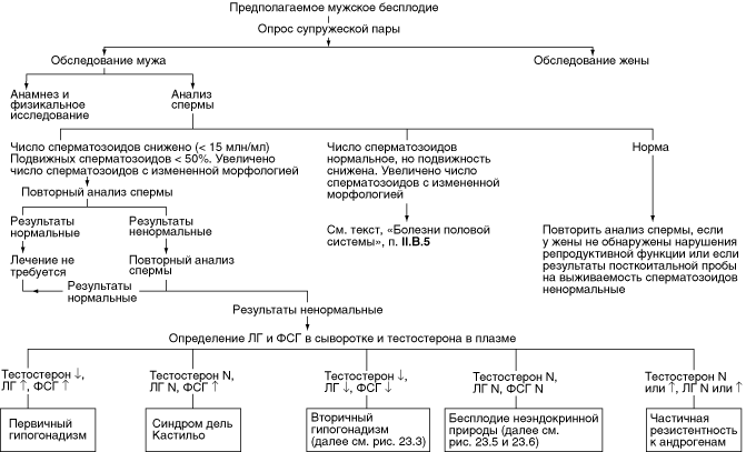 Полюбуйся на результаты обследования я оказывается бесплоден. Женское бесплодие алгоритм обследования. Алгоритм обследования при бесплодии. План обследования при бесплодии. Схема обследования при бесплодии.