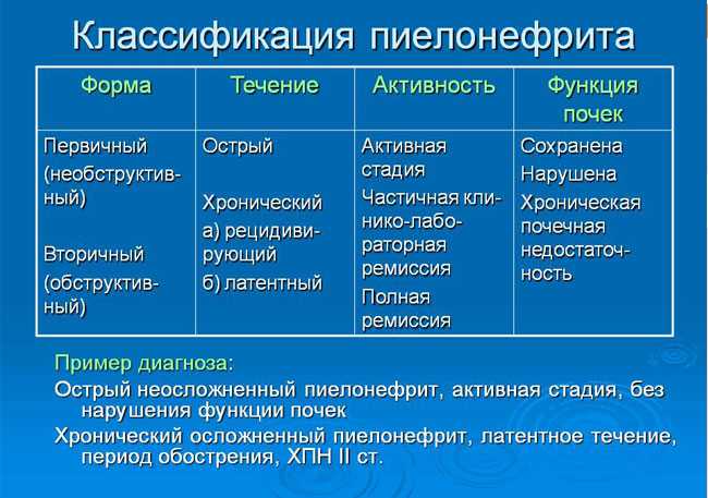 Презентация на тему пиелонефрит