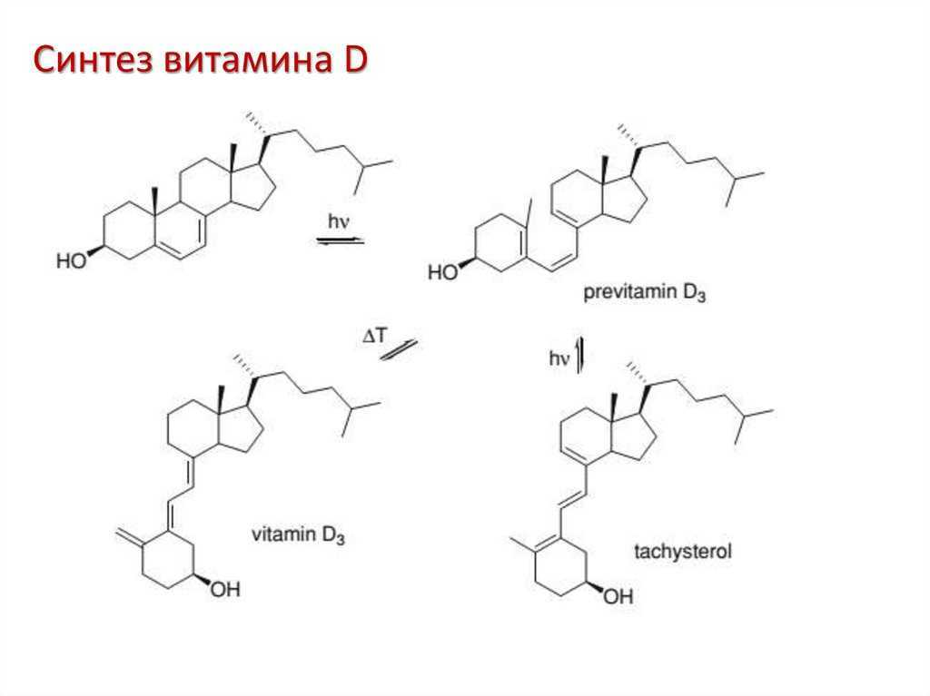 Синтез витаминов в организме. Схема синтеза витамина д3. Химизм синтеза витамина д. Схема синтеза витамина а ретинола. Схема синтеза витамина д.