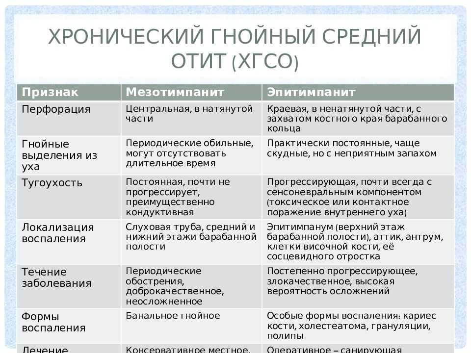 Хронический отит у кошки схема лечения