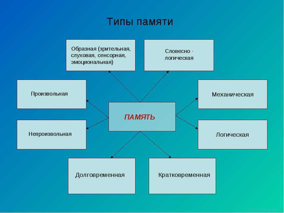 Заполните схему виды памяти