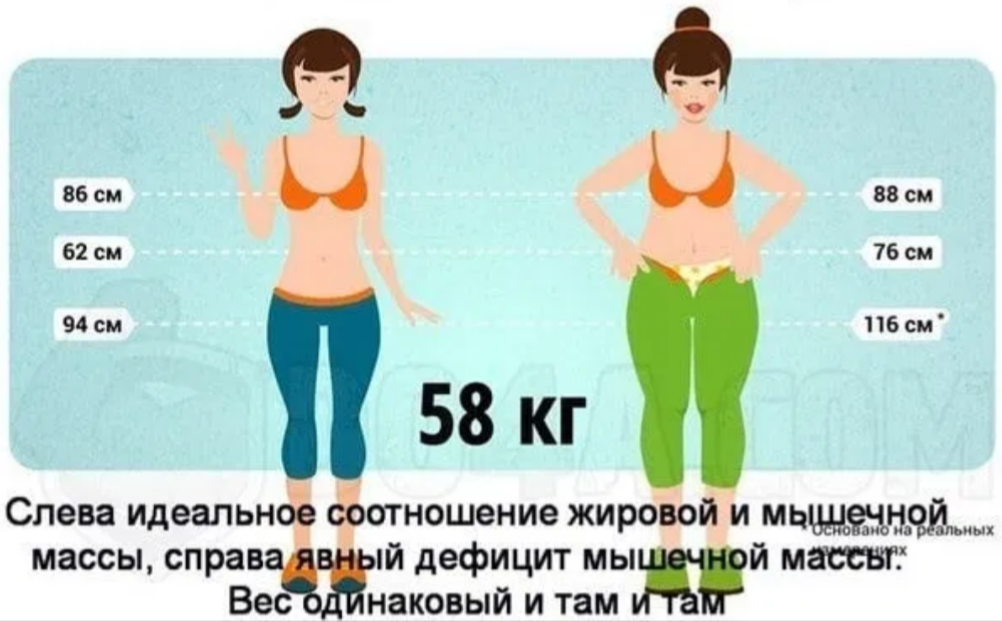 Нужно ли худеть, если талия больше 80 сантиметров?