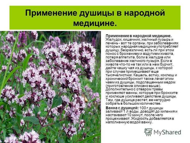 Можно ли делать массаж груди при мастопатии. техники массажа • центр гинекологии в санкт-петербурге