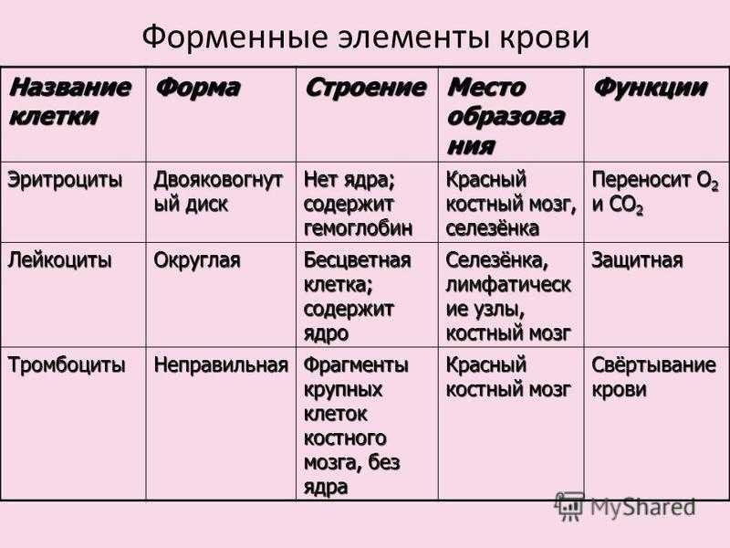 Повышенные эритроциты в крови: причины, лечение