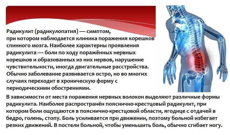 Заболевания позвоночника