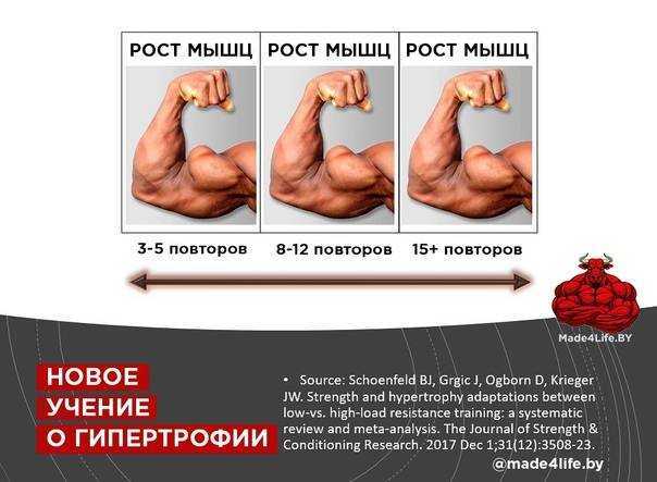 Как растут мышцы и как тренироваться, чтобы они росли?