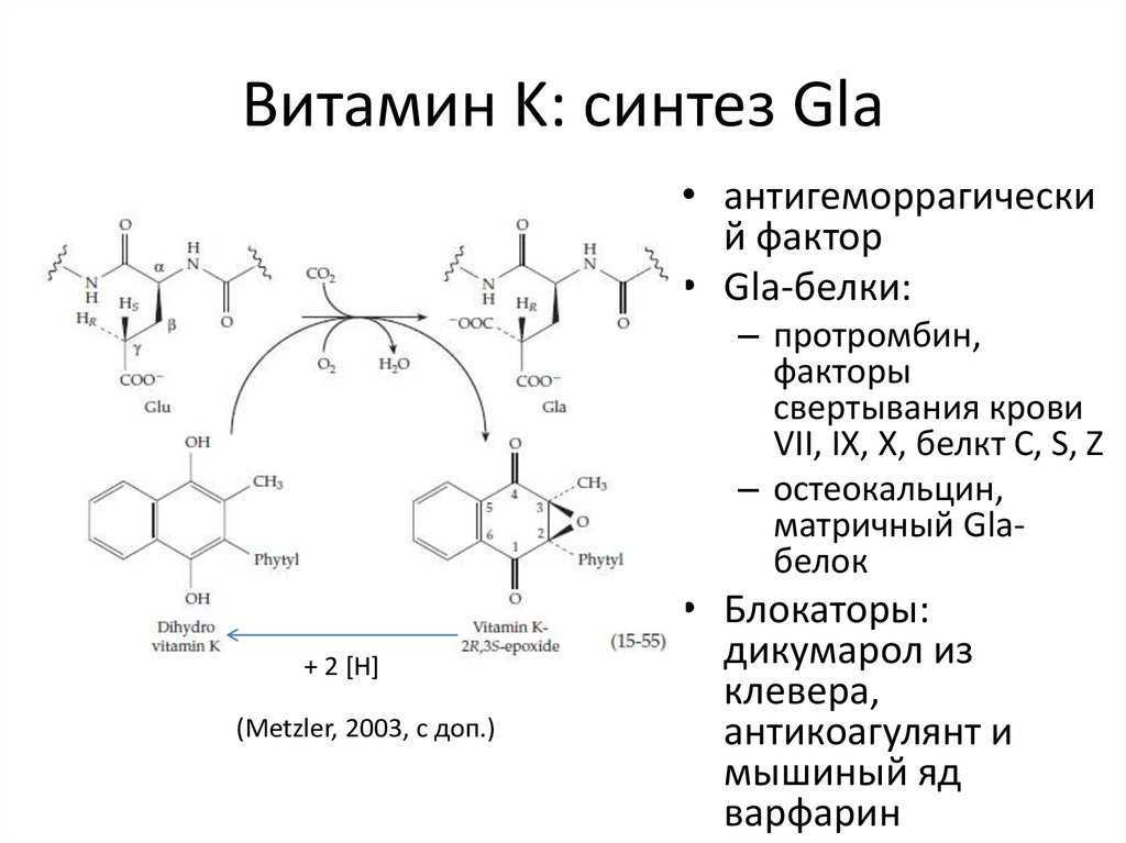 Целебные свойства яичной скорлупы: простейший способ быть здоровым
