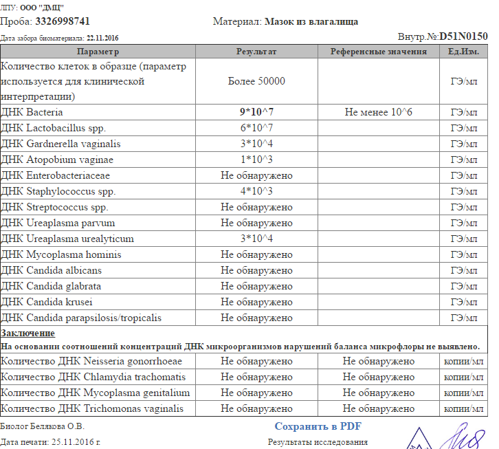 Справка зппп образец