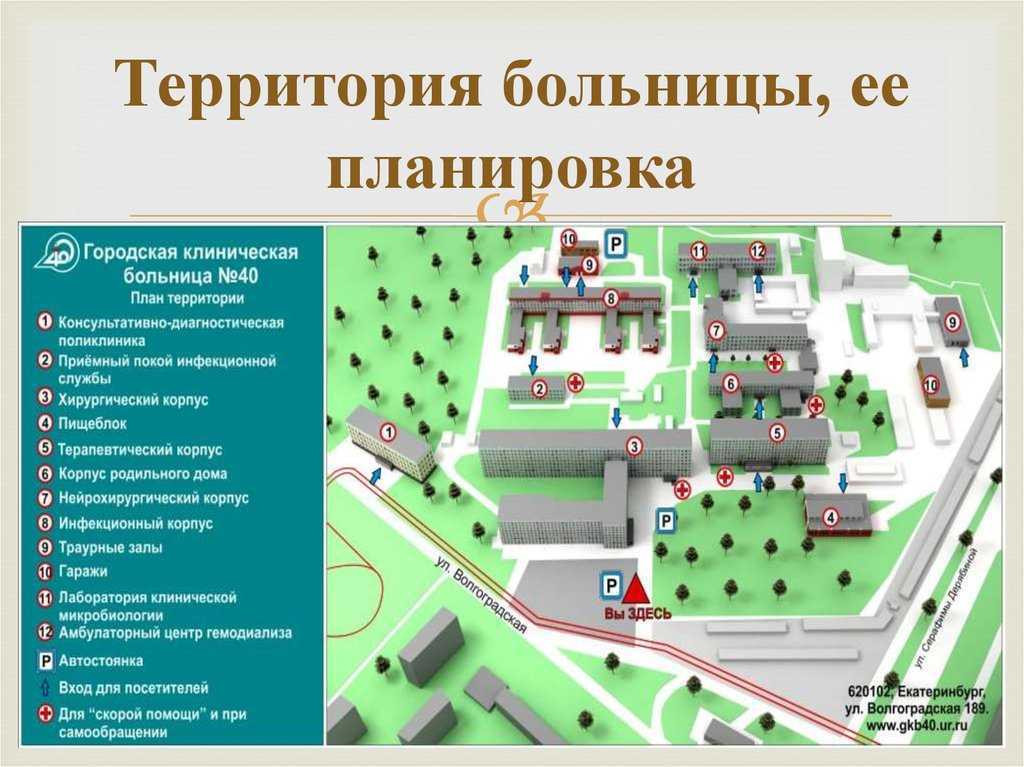 Какими характеристиками обладает циничный человек? значение слова «циник»
