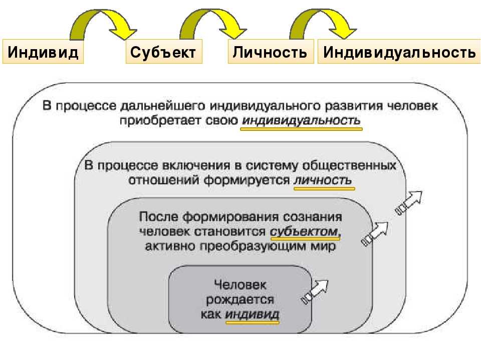 Индивид индивидуальность личность человек схема