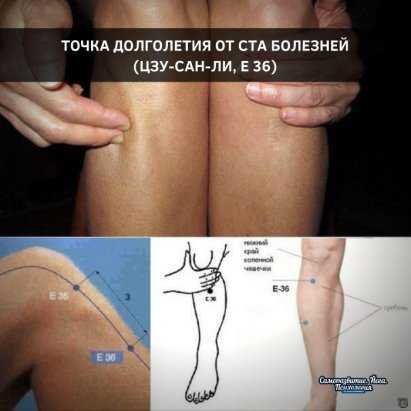 Рефлекторные зоны
