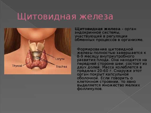 Интоксикация: стадии, причины и лечение | университетская клиника