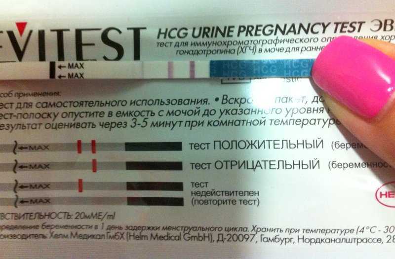 Процент теста на беременность