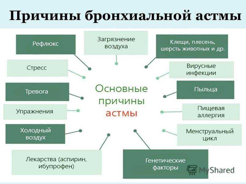 Аллергический дерматит - причины, симптомы, диагностика, лечение и профилактика