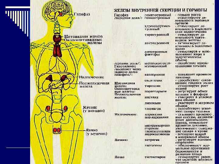 Лечение болезни иценко-кушинга