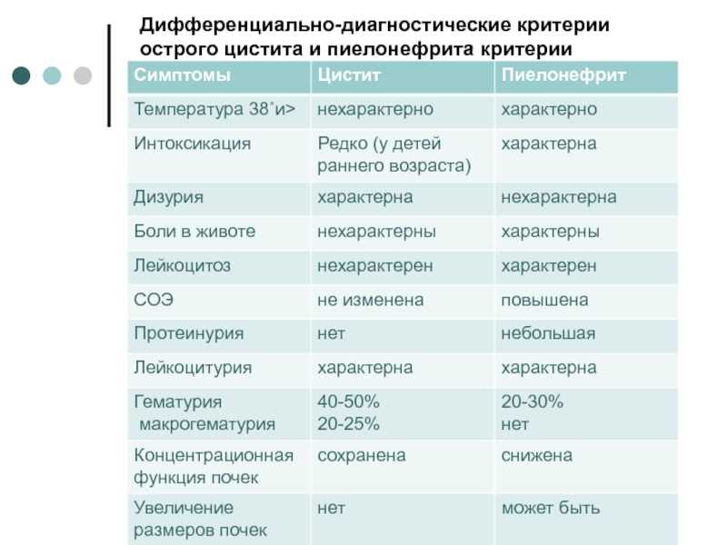 ⚕ какой врач лечит почки? ➡【киев】