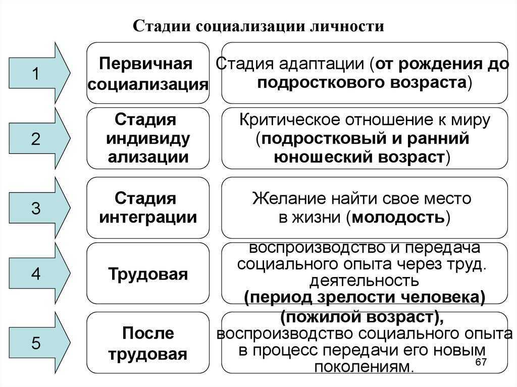 Заполните схему фазы становления личности адаптация индивидуализация