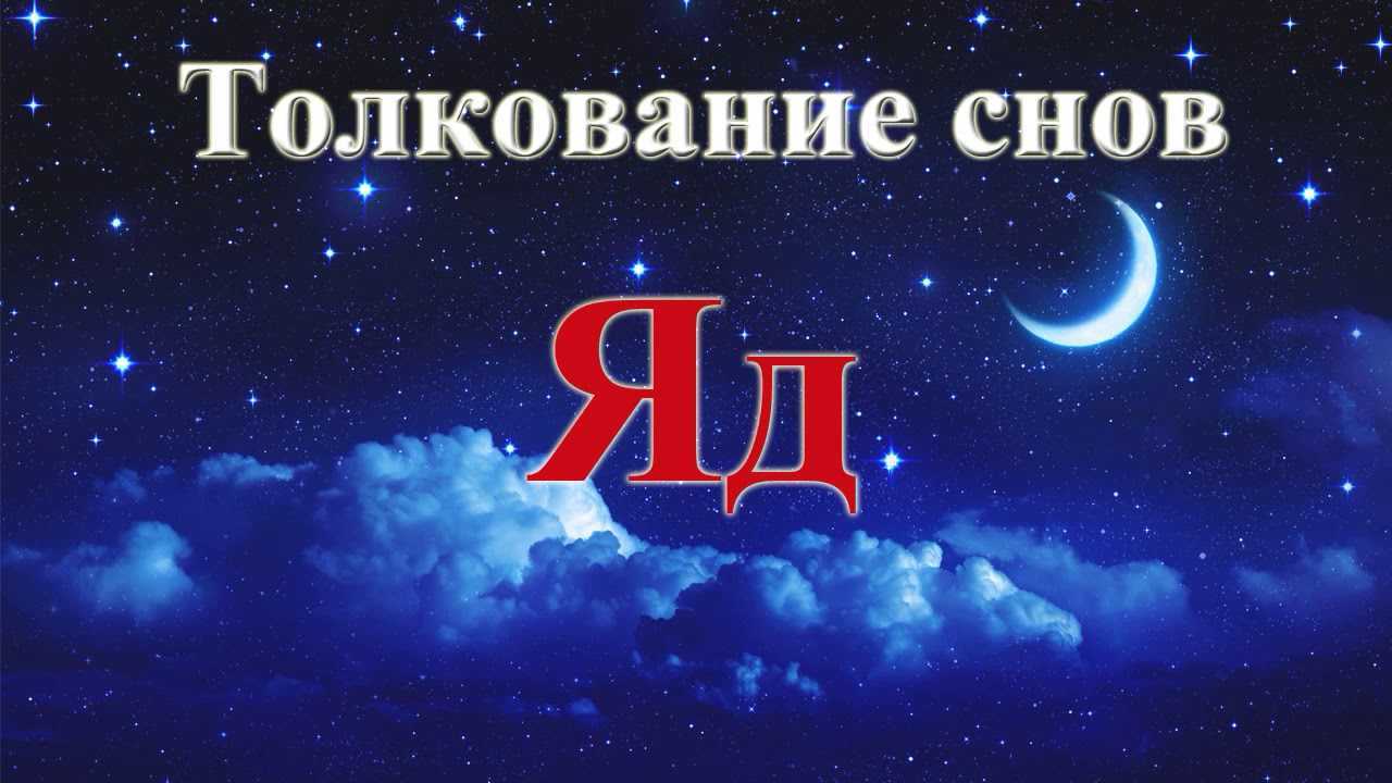 Сонник толкование снов лев. Толкование снов. Толкование снов картинки. Сонник-толкование снов картинки. К чему снится.