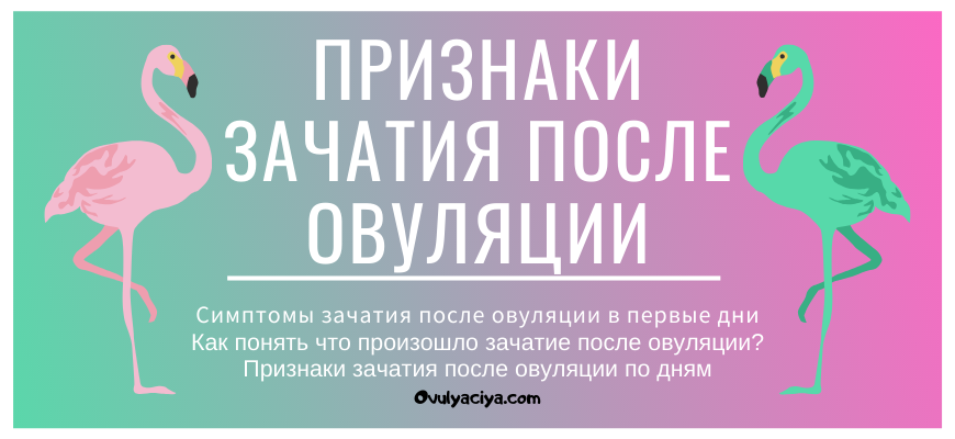 Зачатие форум. Как понять овуляцию признаки. Симптомы после овуляции. Симптомы при овуляции. Овуляция симптомы.