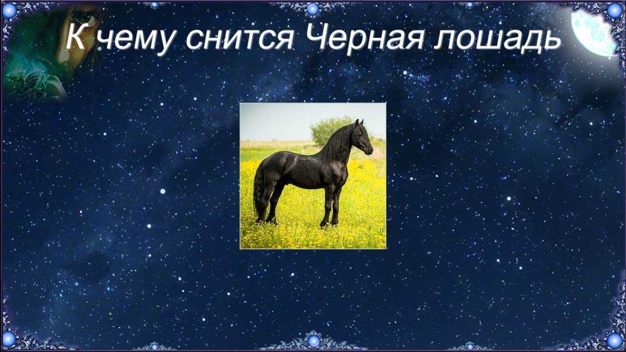 К чему снится конь коричневый женщине сонник