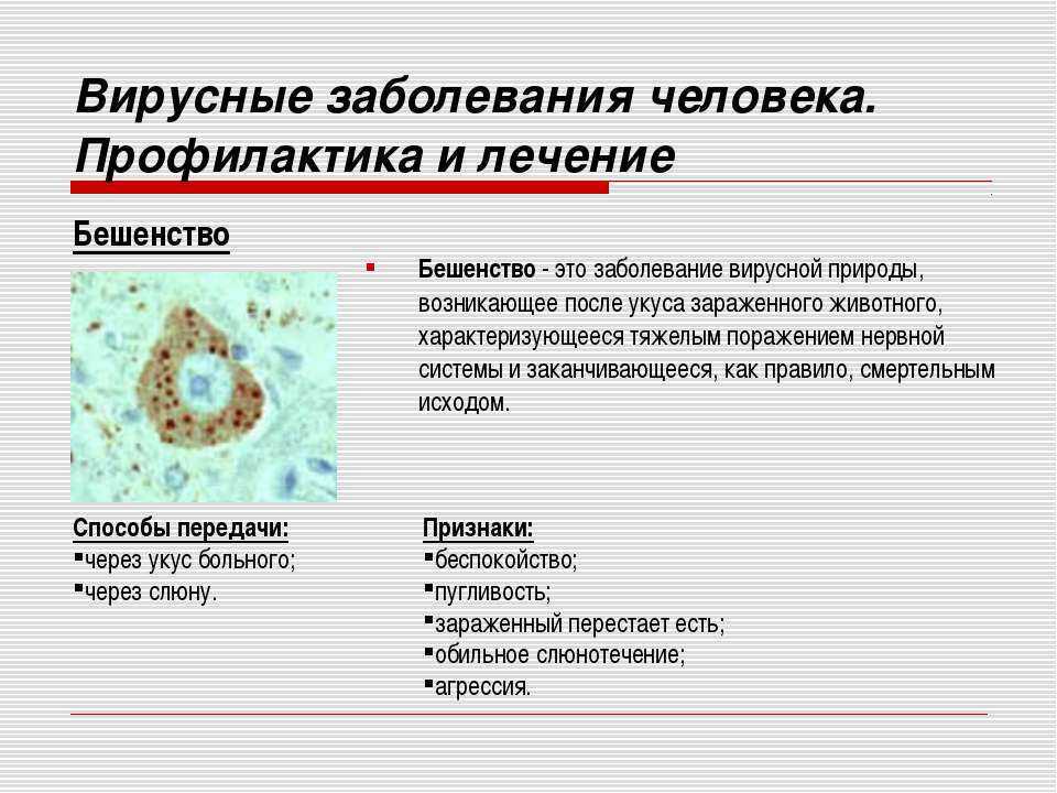 Вирусные заболевания сопр презентация