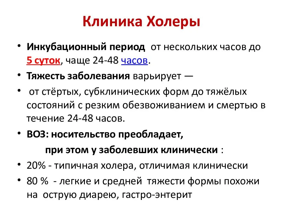 В лечении холеры на первый план выходит борьба