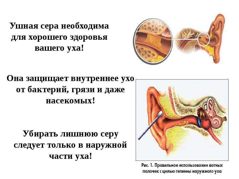 Выделение жидкости из уха. причины, симптомы и лечение!