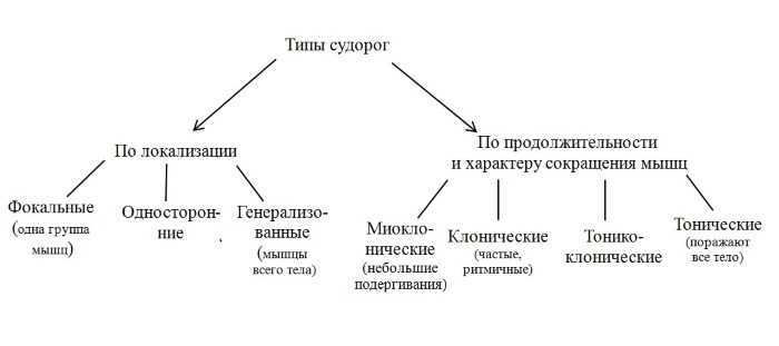 Приведите схему типы судорог в соответствии