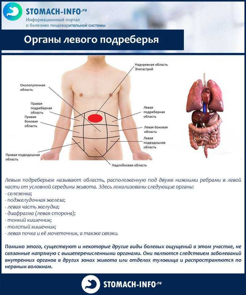 Болит вверху между ребрами спереди по центру. Боль подреберье с левой стороны спереди. Болит между левыми ребрами сбоку. Тяжесть с правой стороны под ребрами спереди.